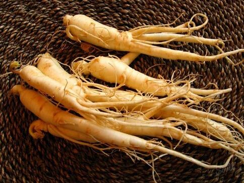 ρίζα ginseng για αύξηση της ισχύος μετά τα 60